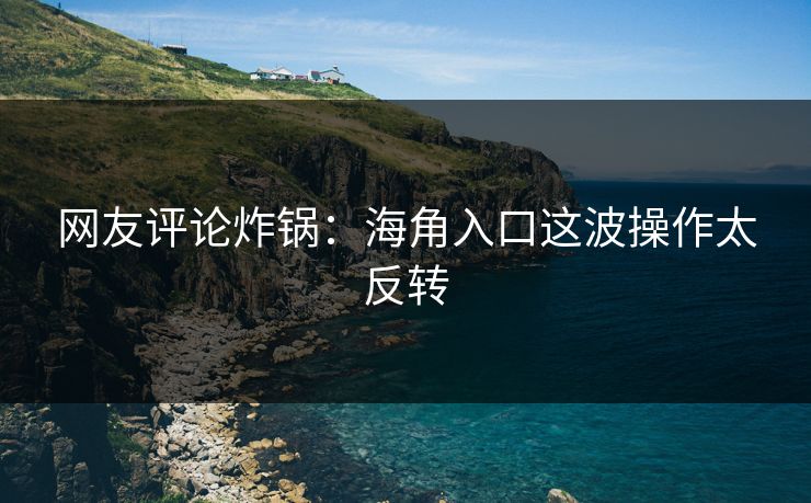 网友评论炸锅：海角入口这波操作太反转