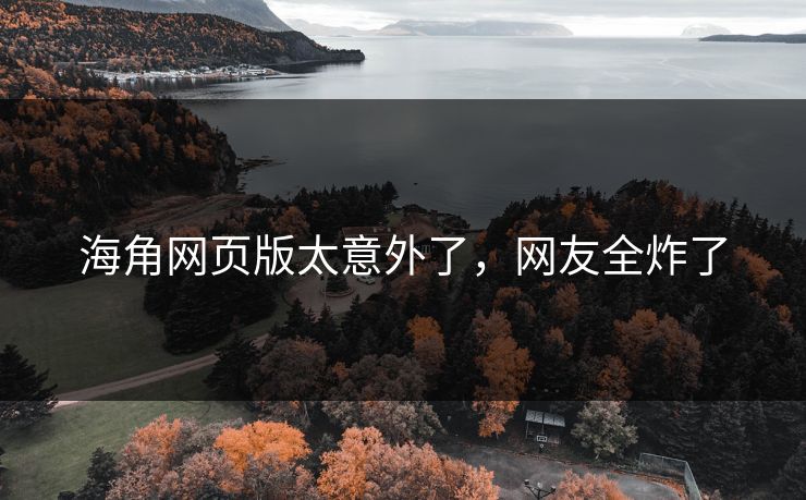 海角网页版太意外了，网友全炸了