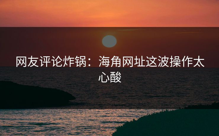 网友评论炸锅：海角网址这波操作太心酸