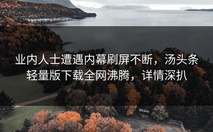 业内人士遭遇内幕刷屏不断，汤头条轻量版下载全网沸腾，详情深扒