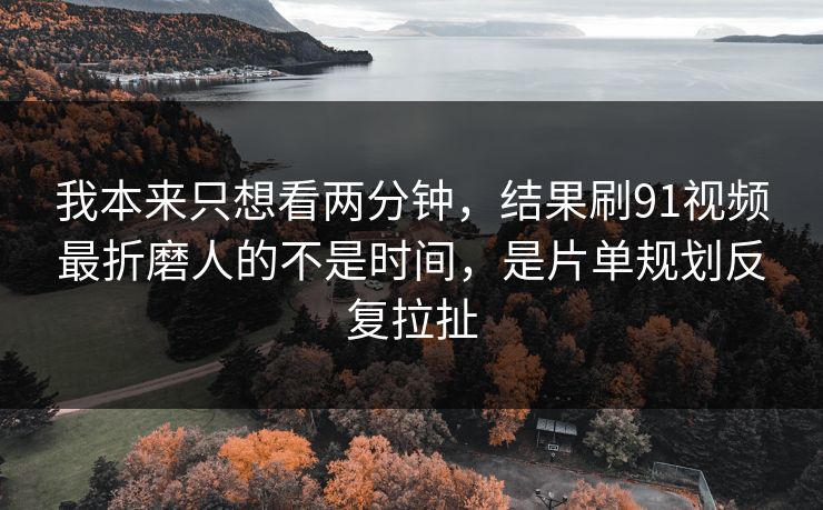 我本来只想看两分钟，结果刷91视频最折磨人的不是时间，是片单规划反复拉扯